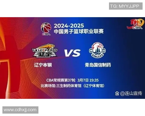 辽宁对青岛精彩直播视频全程回顾与赛后分析分享